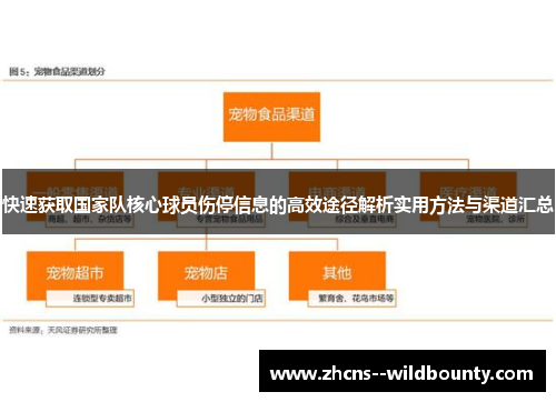快速获取国家队核心球员伤停信息的高效途径解析实用方法与渠道汇总 快速获取国家队核心球员伤停信息的高效途径解析实用方法与渠道汇总