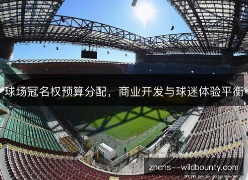 球场冠名权预算分配,商业开发与球迷体验平衡 球场冠名权预算分配,商业开发与球迷体验平衡